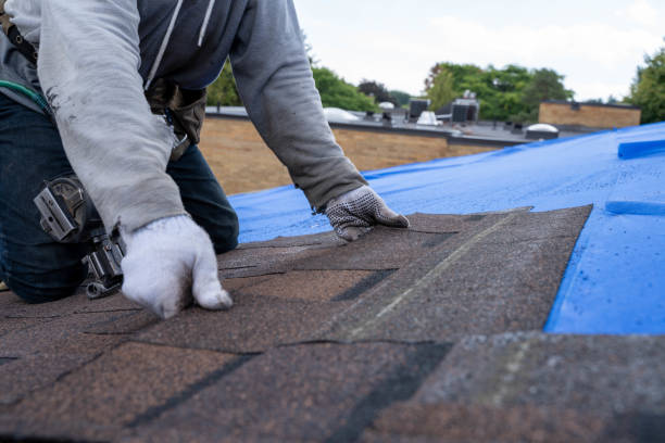 Best Residential Roofing Contractor  in Galatia, IL